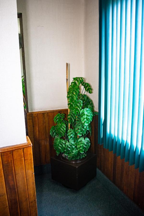Hotel Guadalajara サン・ルイス・ポトシ エクステリア 写真